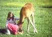Normandie Urlaub mit Kindern
