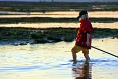 Landschaft und Umwelt der Normandie