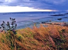 Landungsstrände in der Normandie (Plages Debarquement)