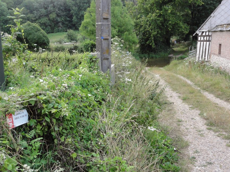 Furt über die Durdent in Héricourt-en-Caux