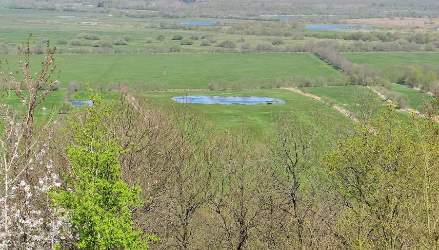 Vue d'ensemble de la réserve naturelle nationale du marais Vernier