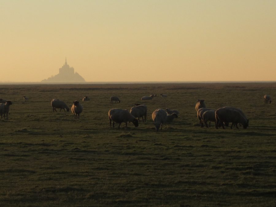 Blick auf die Bucht des Mont-Saint-Michel vom Gué de l'Épine in Le Val-Saint-Père