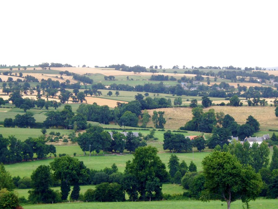 Idyllic rural scenery in lower Normandy with hedgerows and rolling countryside