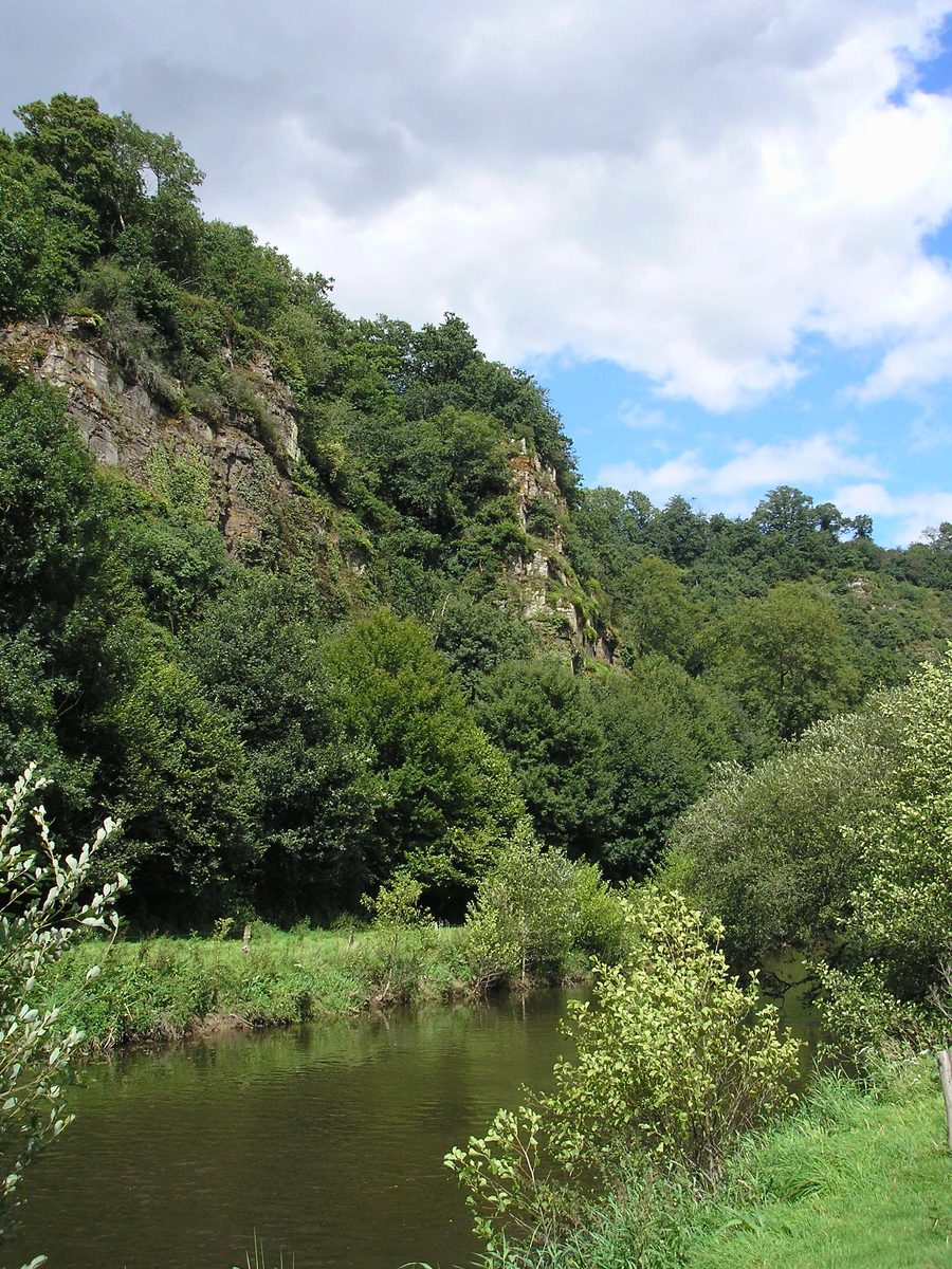 La Vire entre Saint-Martin-Don et Campeaux, dans le site des gorges de la Vire.