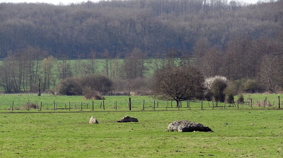 Nécropole dolménique des Prés d'Acon