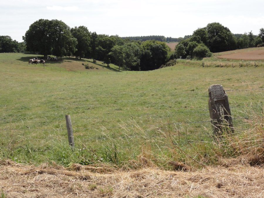 Landschaft in Bosville im Département Seine-Maritime