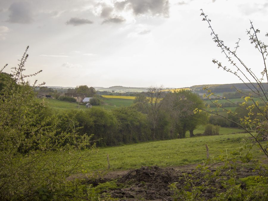 Heckenreiche Landschaft des Perche bei Authon-du-Perche
