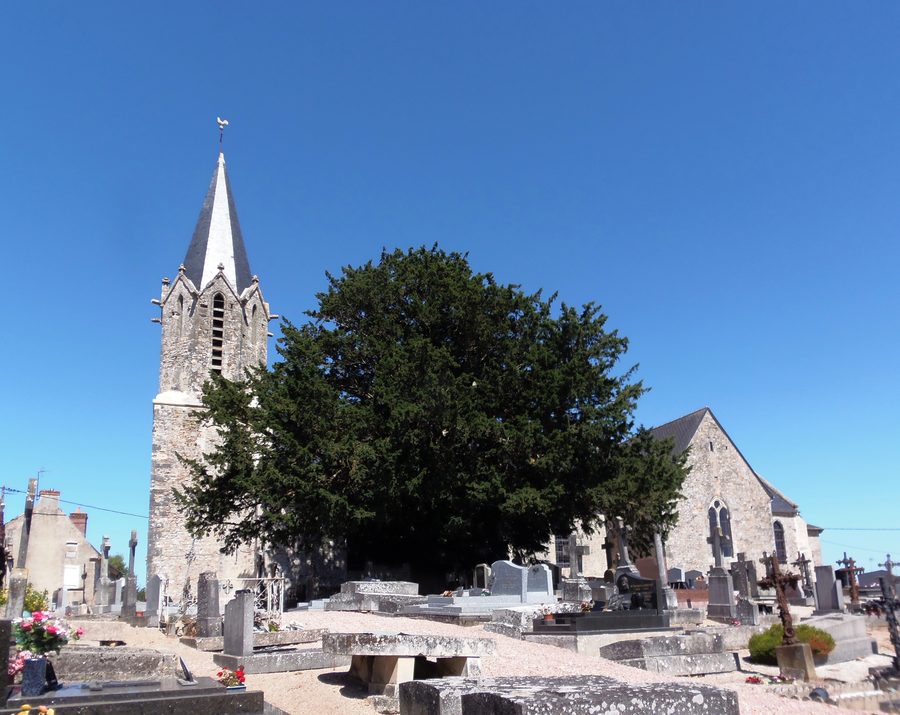 Außenansicht der Église Saint-Brice in Nécy, Normandie