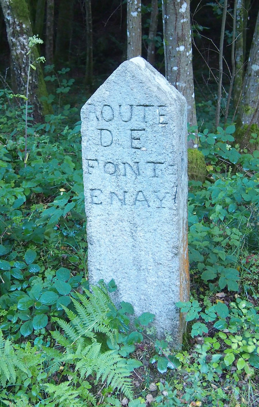 Borne classée Monument historique dans la forêt d'Écouves à Saint-Nicolas-des-Bois, en Normandie