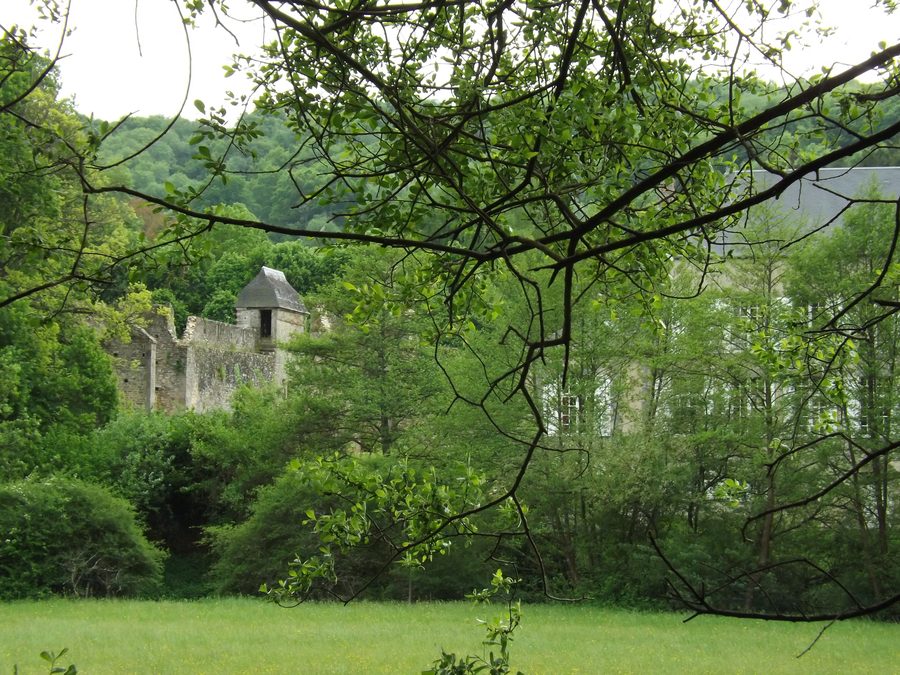 Aperçu des remparts du château de La Forêt-Auvray dans l'Orne