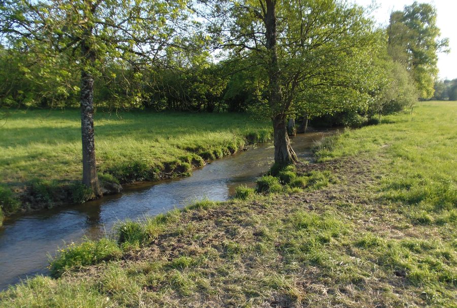 Die Drôme zwischen Morigny und Montbray in der grünen Landschaft der Normandie