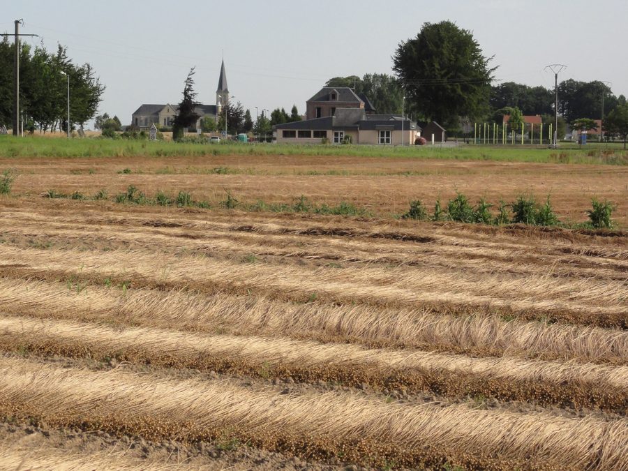 Blick auf das Dorf Bernières im Département Seine-Maritime