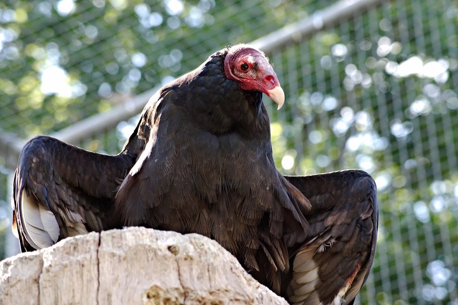 Gelände des Zoo de Jurques