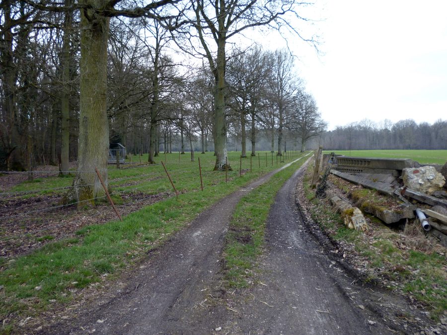 Waldrand in Saint-Benoît-des-Ombres im Département Eure