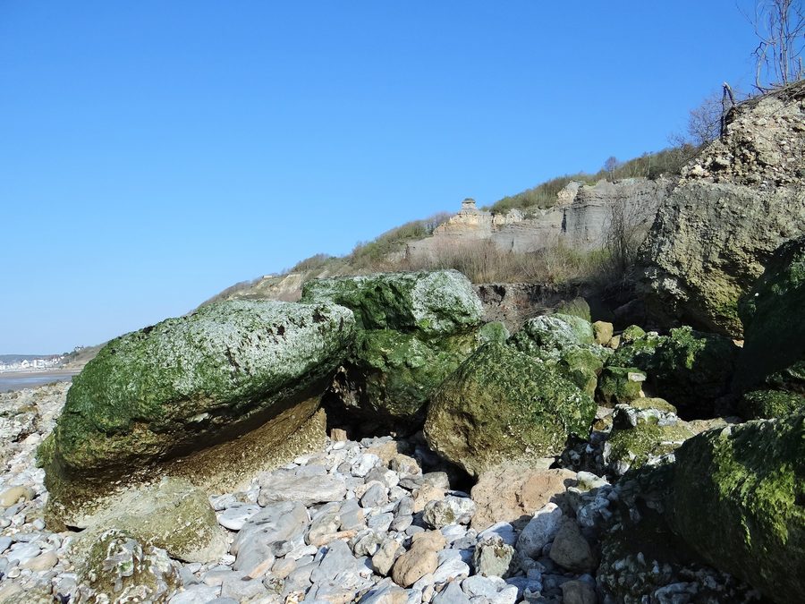 Klippen der Vaches Noires an der Küste der Normandie