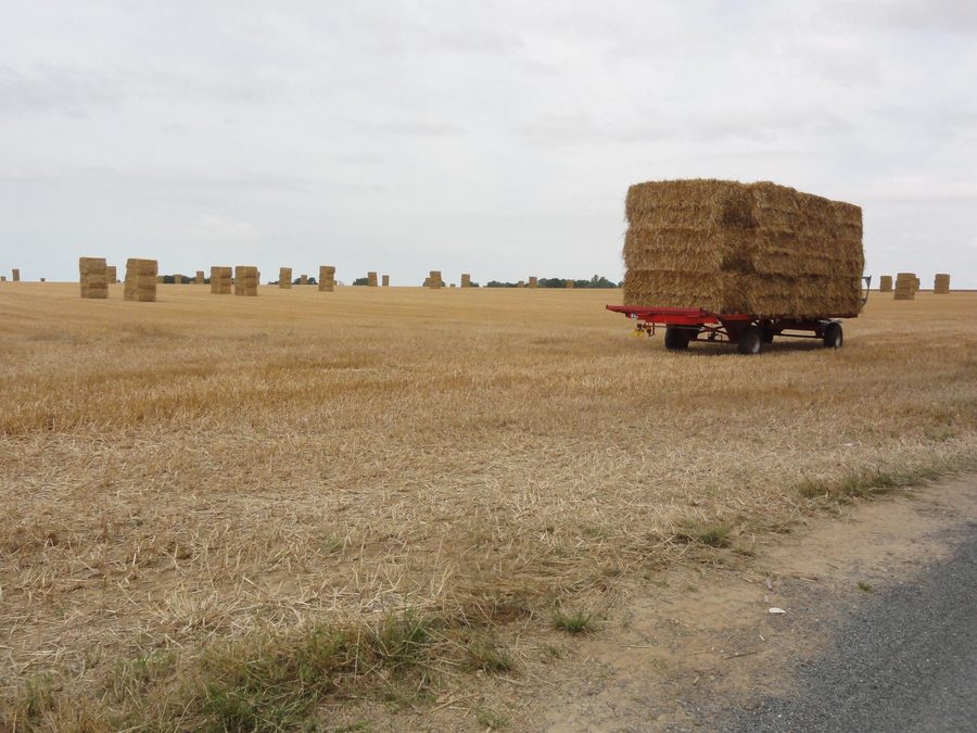 Criquetot-sur-Ouville (Seine-Maritime), paysage