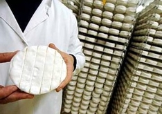 Camembert: Camembert aus der Normandie