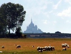 Naturparks in der Normandie