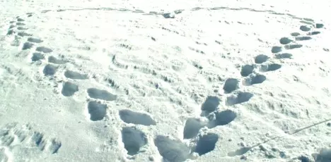 Herz im Schnee