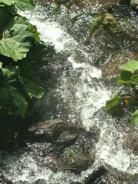 Veules (Fluss)